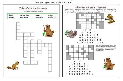 The Benefits of Solving Collegiate Beaver Moecot Crosswords for Students